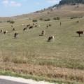 20120903_romanje_v_transilvanijo_101