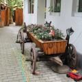 20120903_romanje_v_transilvanijo_208